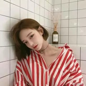 铿锵玫瑰